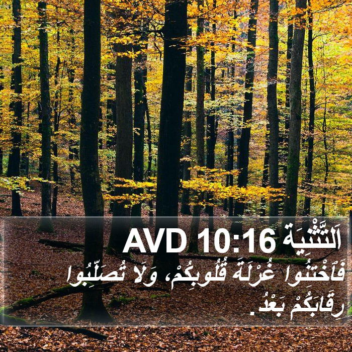 اَلتَّثْنِيَة 10:16 AVD Bible Study