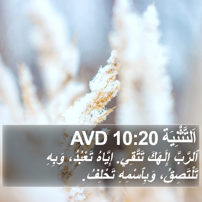 اَلتَّثْنِيَة 10:20 AVD Bible Study