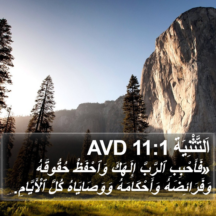 اَلتَّثْنِيَة 11:1 AVD Bible Study