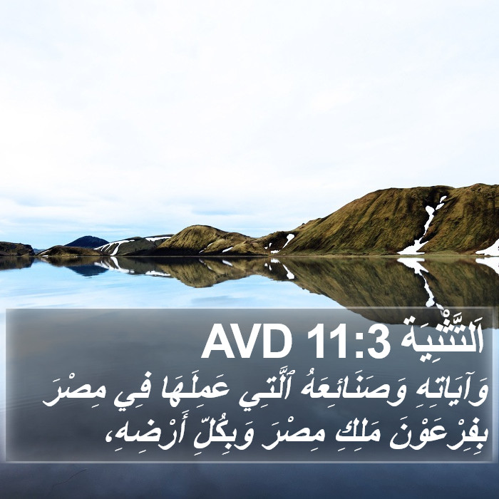 اَلتَّثْنِيَة 11:3 AVD Bible Study