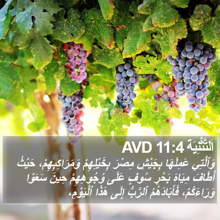 اَلتَّثْنِيَة 11:4 AVD Bible Study