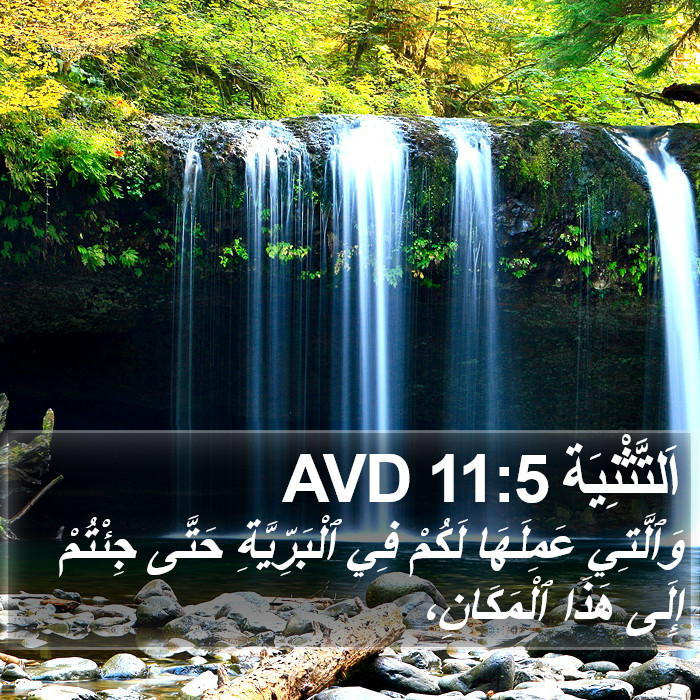 اَلتَّثْنِيَة 11:5 AVD Bible Study