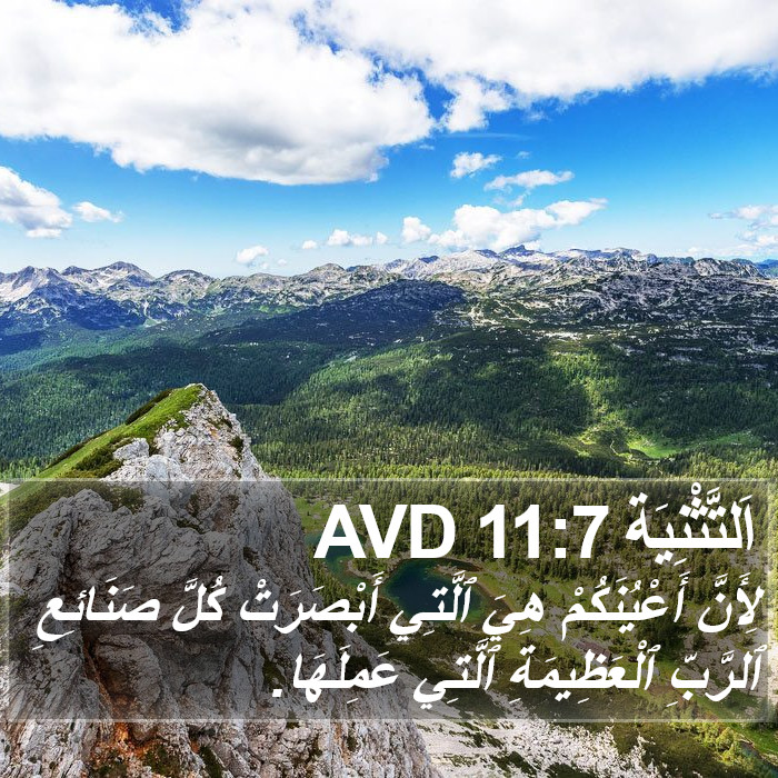 اَلتَّثْنِيَة 11:7 AVD Bible Study