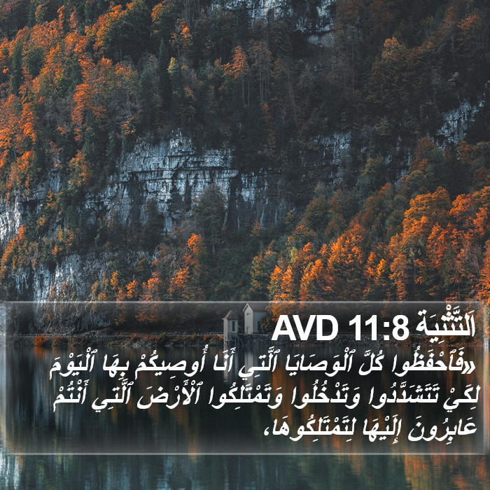 اَلتَّثْنِيَة 11:8 AVD Bible Study