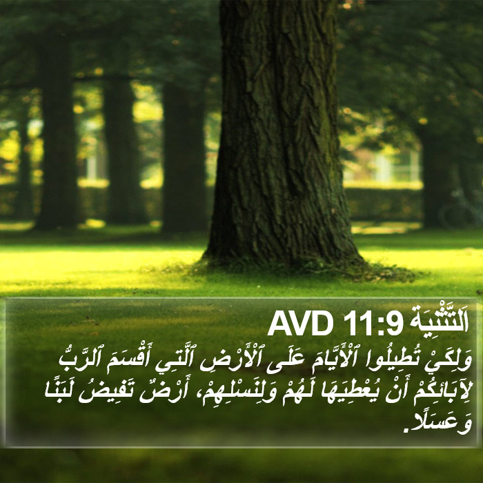 اَلتَّثْنِيَة 11:9 AVD Bible Study