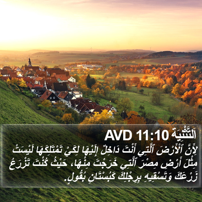 اَلتَّثْنِيَة 11:10 AVD Bible Study