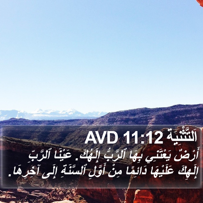 اَلتَّثْنِيَة 11:12 AVD Bible Study