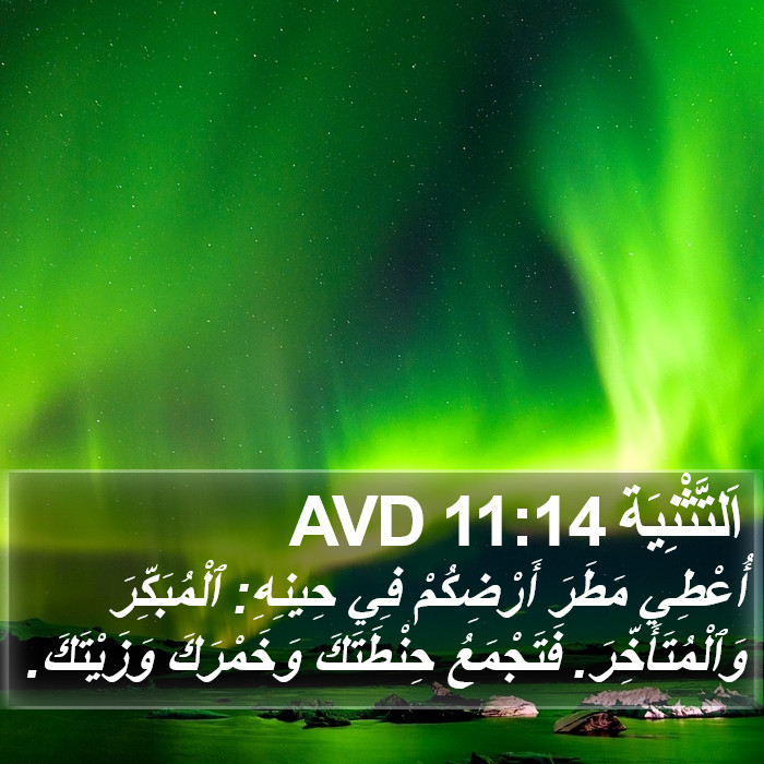 اَلتَّثْنِيَة 11:14 AVD Bible Study