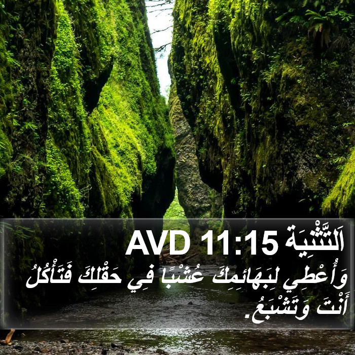 اَلتَّثْنِيَة 11:15 AVD Bible Study