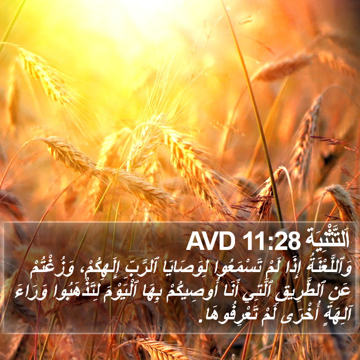 اَلتَّثْنِيَة 11:28 AVD Bible Study