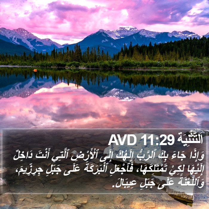 اَلتَّثْنِيَة 11:29 AVD Bible Study