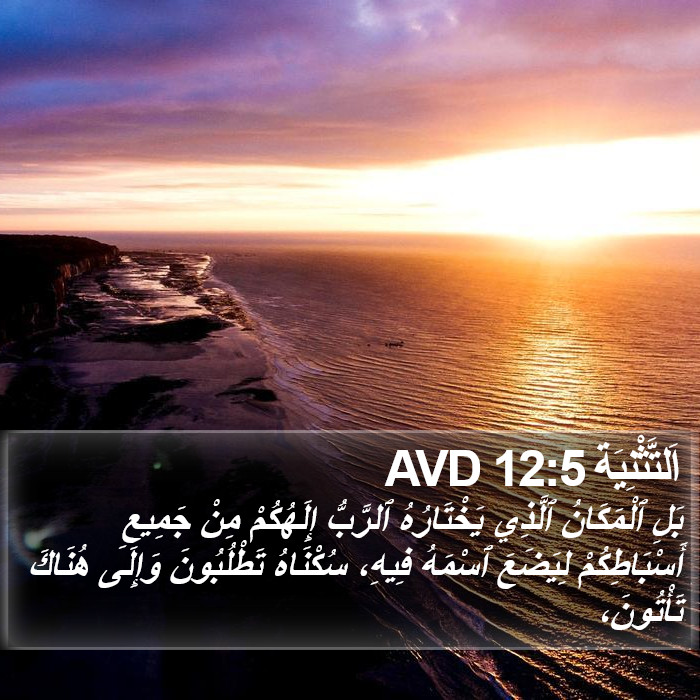 اَلتَّثْنِيَة 12:5 AVD Bible Study