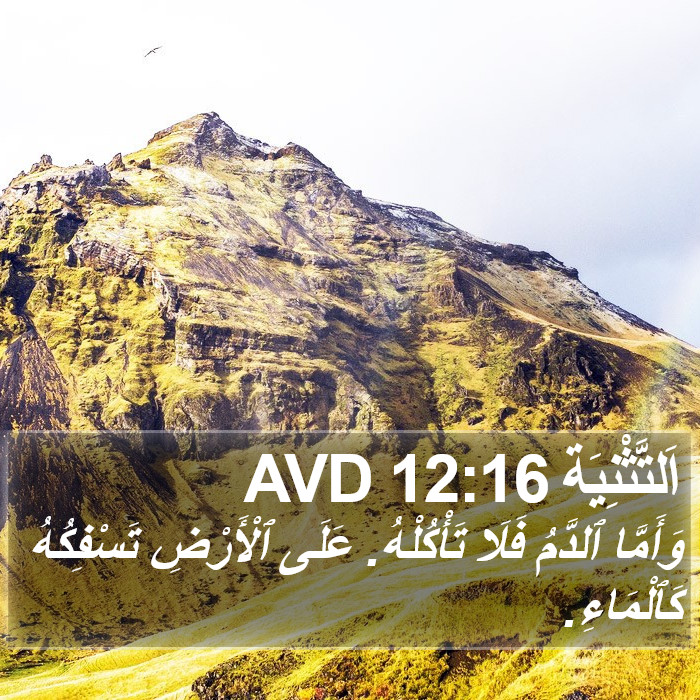 اَلتَّثْنِيَة 12:16 AVD Bible Study