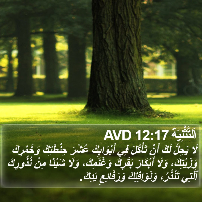 اَلتَّثْنِيَة 12:17 AVD Bible Study