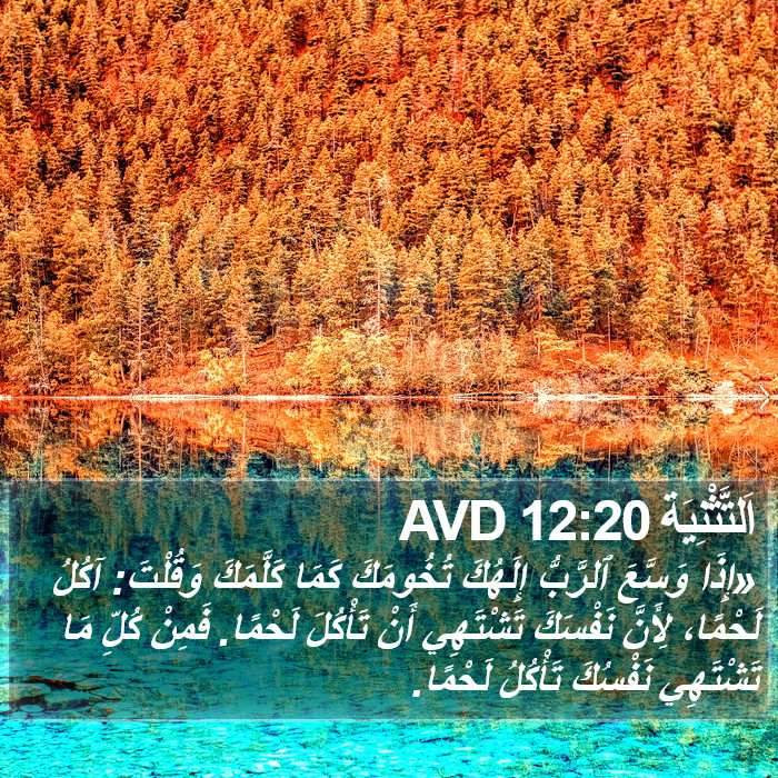 اَلتَّثْنِيَة 12:20 AVD Bible Study