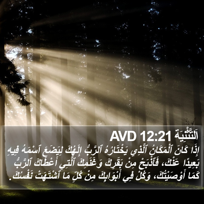 اَلتَّثْنِيَة 12:21 AVD Bible Study