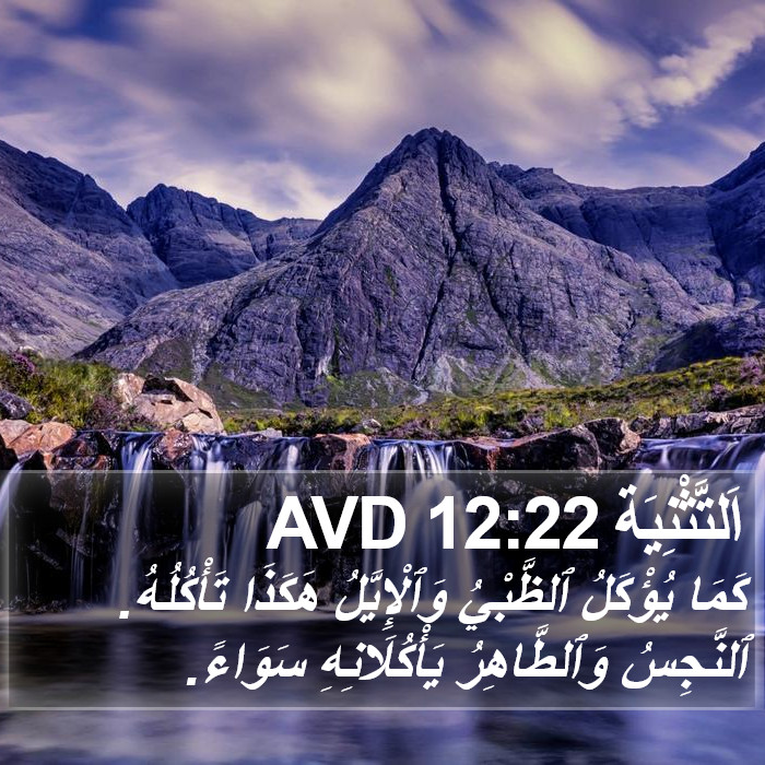 اَلتَّثْنِيَة 12:22 AVD Bible Study