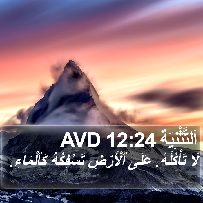 اَلتَّثْنِيَة 12:24 AVD Bible Study