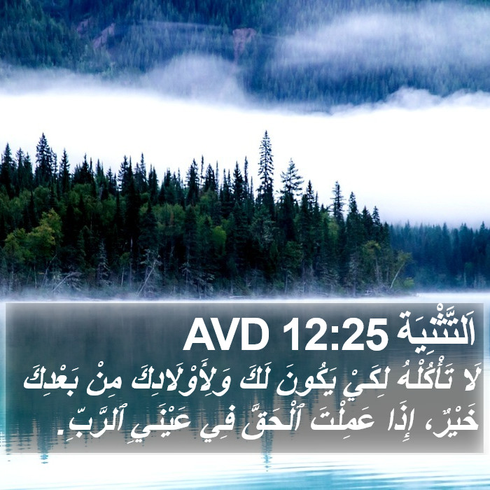اَلتَّثْنِيَة 12:25 AVD Bible Study