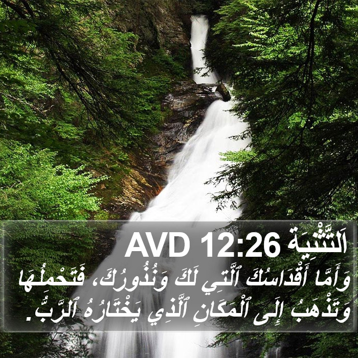 اَلتَّثْنِيَة 12:26 AVD Bible Study