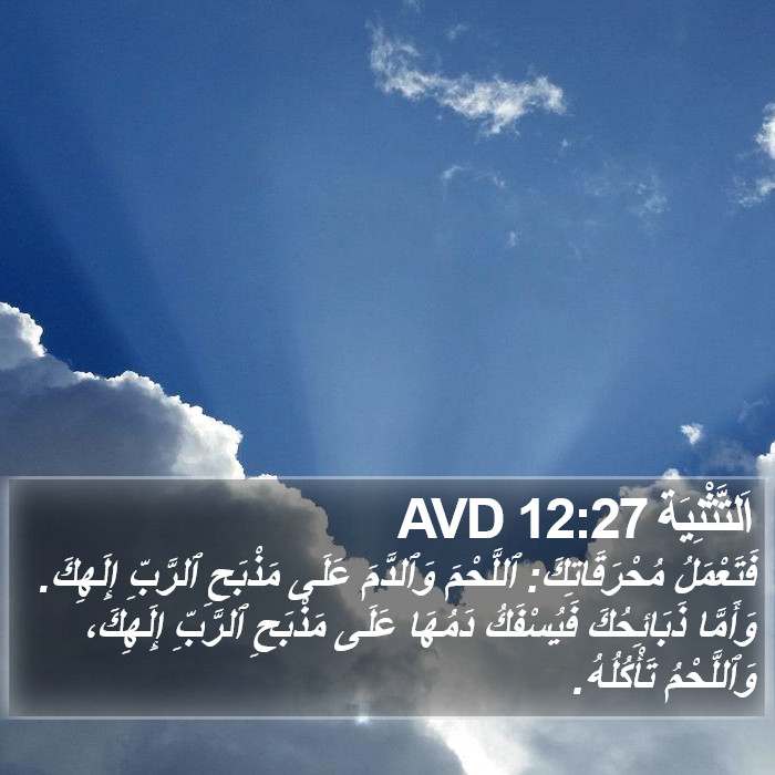 اَلتَّثْنِيَة 12:27 AVD Bible Study