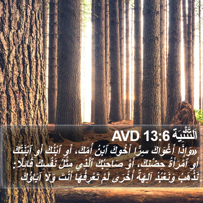 اَلتَّثْنِيَة 13:6 AVD Bible Study