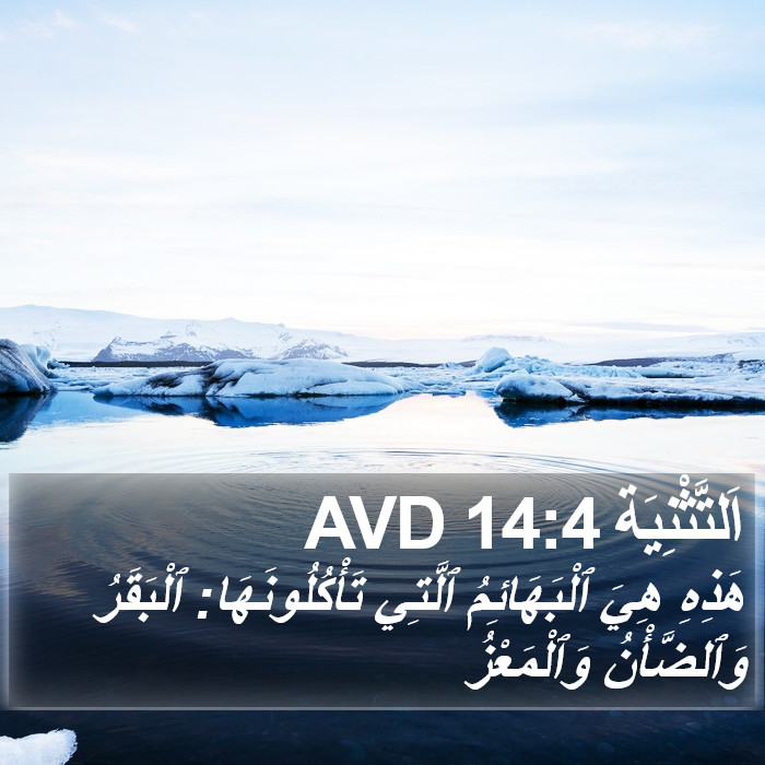 اَلتَّثْنِيَة 14:4 AVD Bible Study