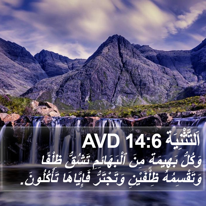 اَلتَّثْنِيَة 14:6 AVD Bible Study