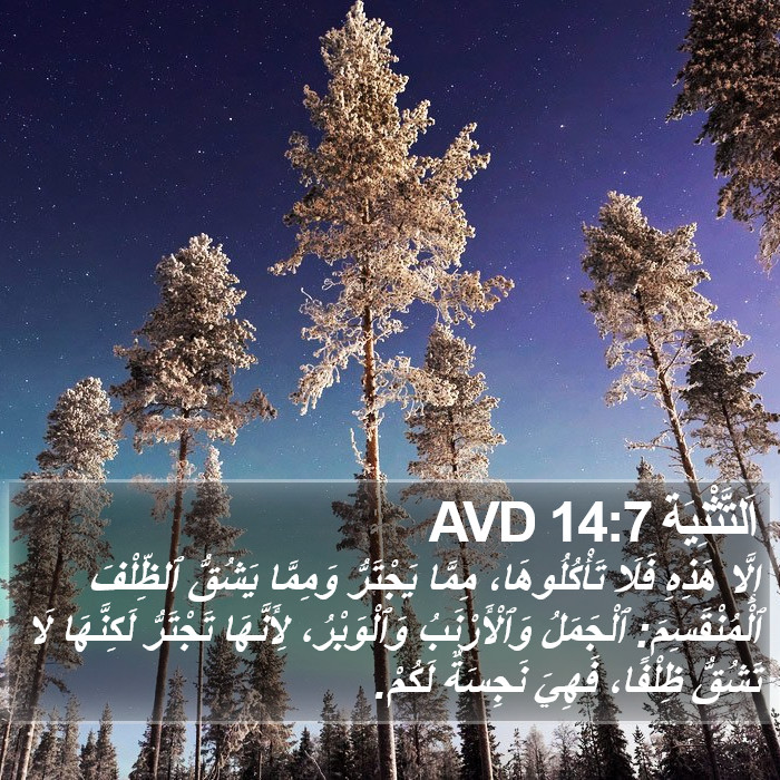 اَلتَّثْنِيَة 14:7 AVD Bible Study