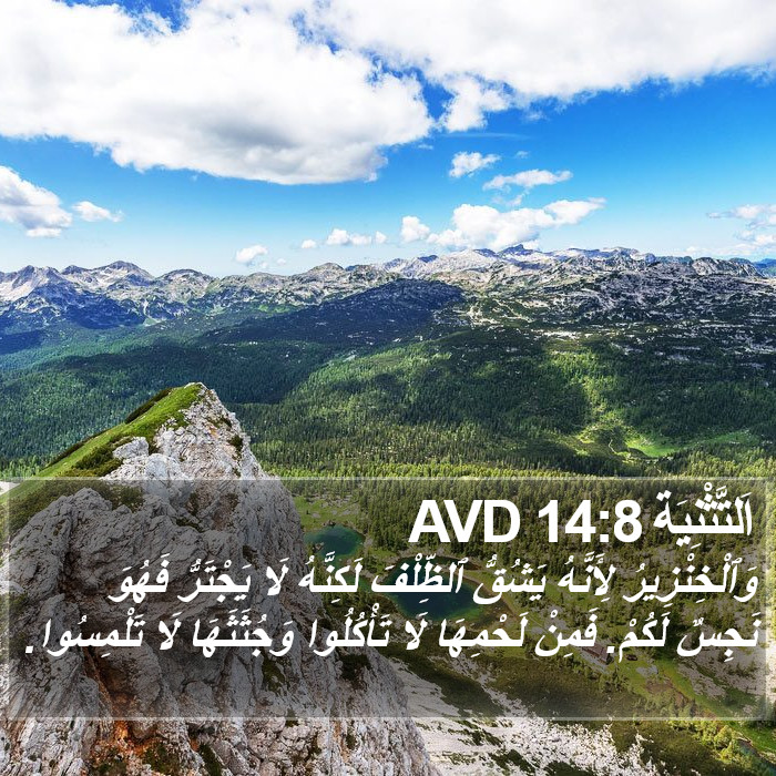 اَلتَّثْنِيَة 14:8 AVD Bible Study