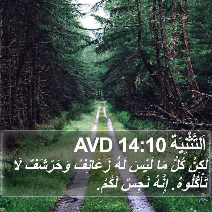 اَلتَّثْنِيَة 14:10 AVD Bible Study