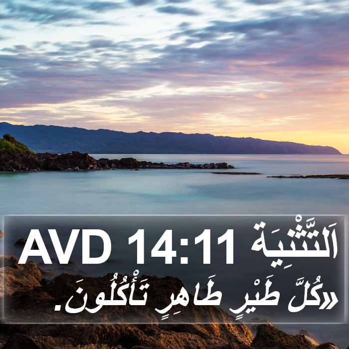 اَلتَّثْنِيَة 14:11 AVD Bible Study