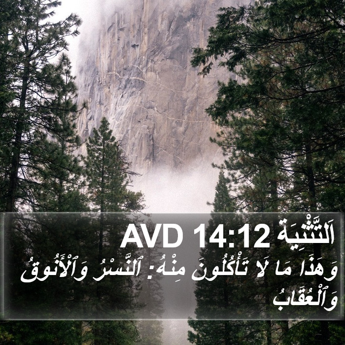 اَلتَّثْنِيَة 14:12 AVD Bible Study