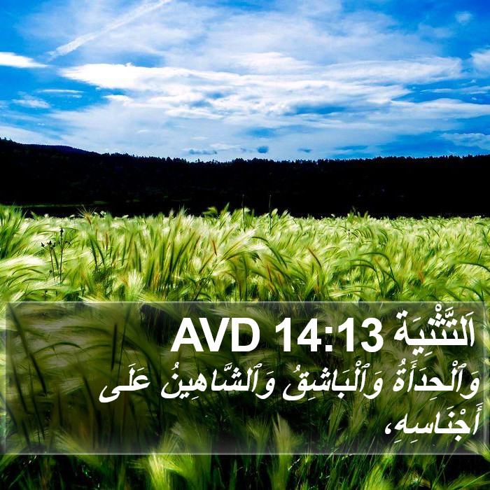 اَلتَّثْنِيَة 14:13 AVD Bible Study