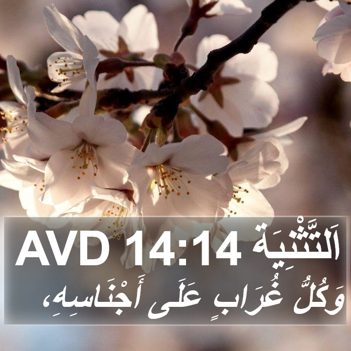 اَلتَّثْنِيَة 14:14 AVD Bible Study