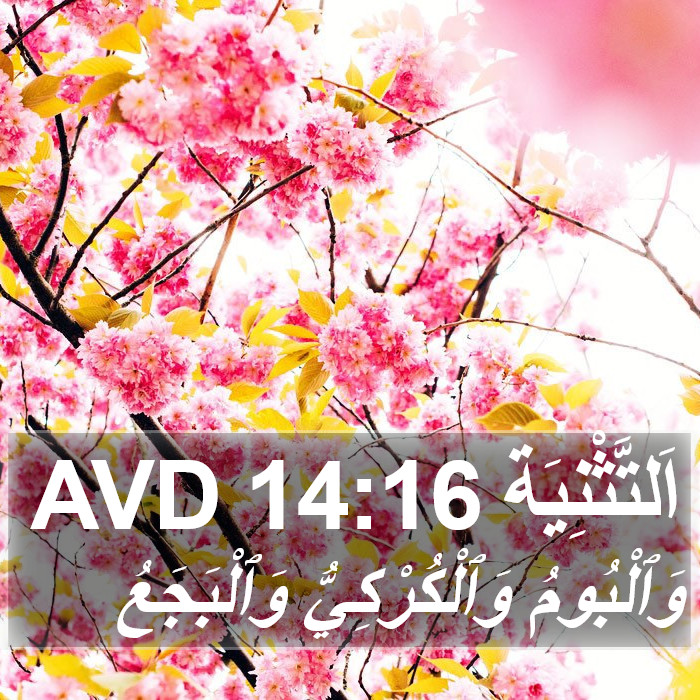 اَلتَّثْنِيَة 14:16 AVD Bible Study
