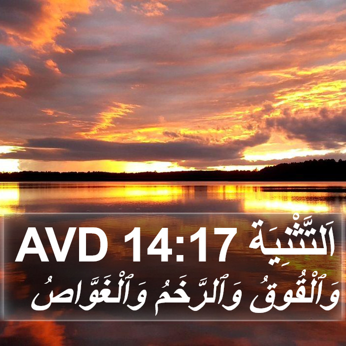 اَلتَّثْنِيَة 14:17 AVD Bible Study