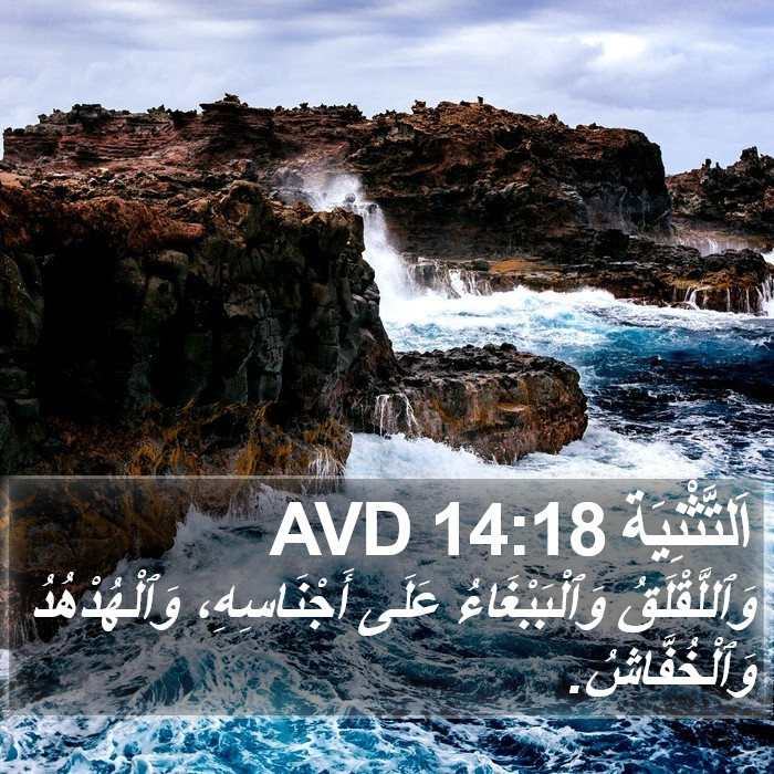 اَلتَّثْنِيَة 14:18 AVD Bible Study