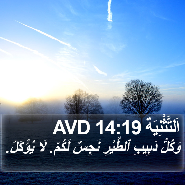 اَلتَّثْنِيَة 14:19 AVD Bible Study