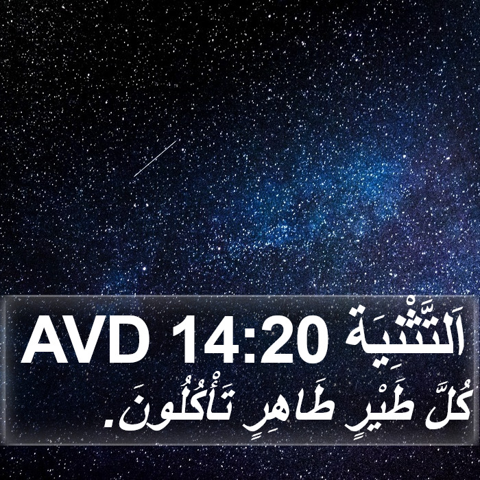 اَلتَّثْنِيَة 14:20 AVD Bible Study