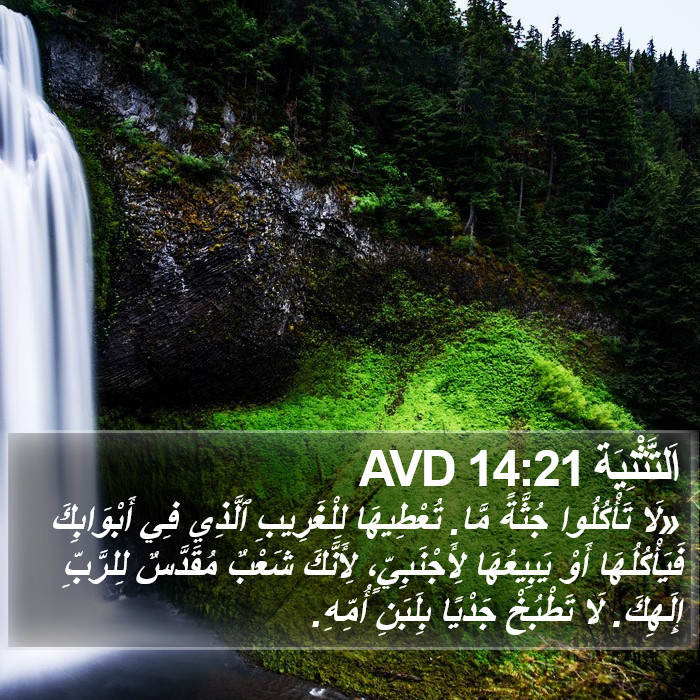 اَلتَّثْنِيَة 14:21 AVD Bible Study