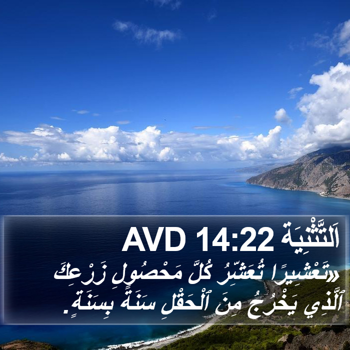 اَلتَّثْنِيَة 14:22 AVD Bible Study