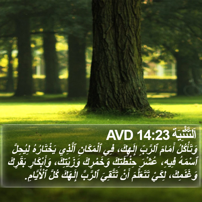 اَلتَّثْنِيَة 14:23 AVD Bible Study