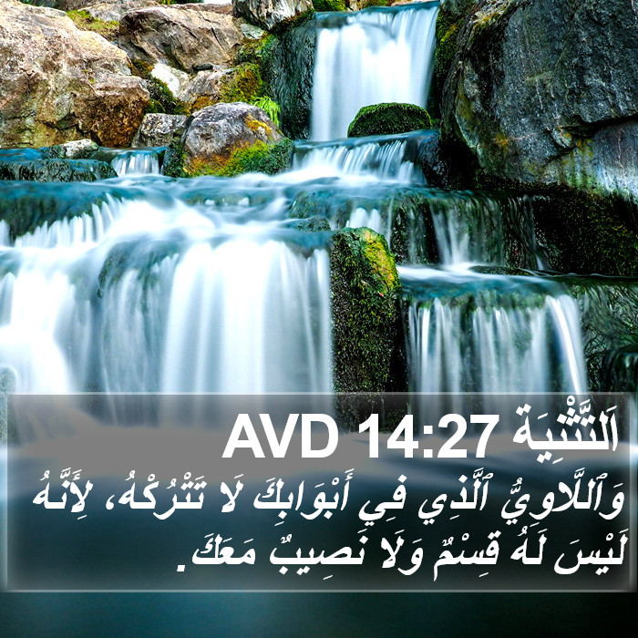 اَلتَّثْنِيَة 14:27 AVD Bible Study