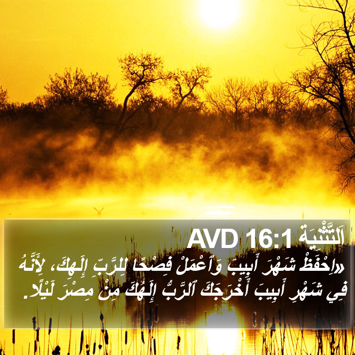 اَلتَّثْنِيَة 16:1 AVD Bible Study