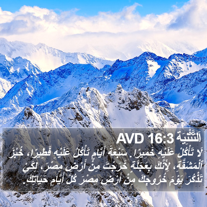 اَلتَّثْنِيَة 16:3 AVD Bible Study