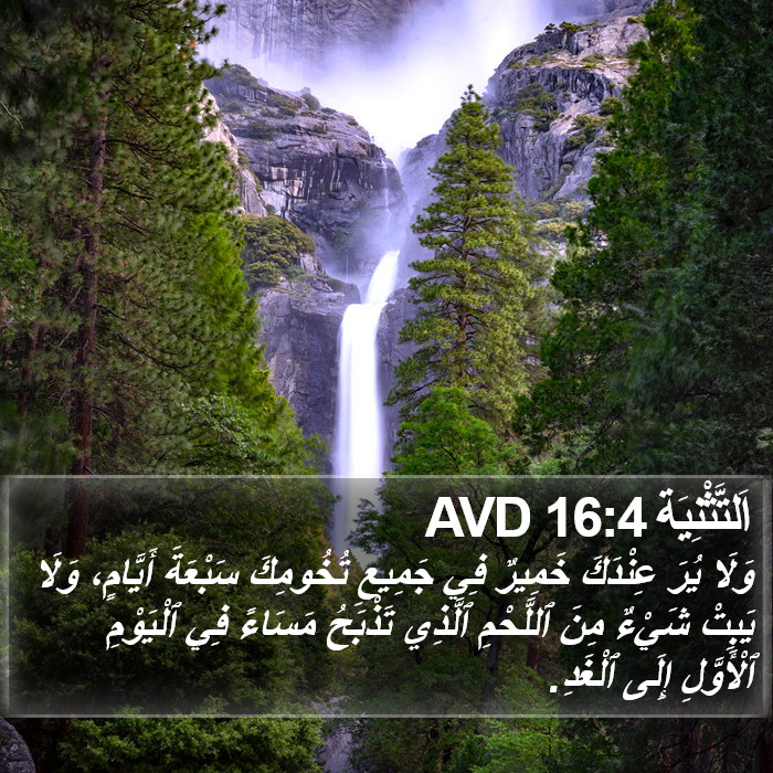 اَلتَّثْنِيَة 16:4 AVD Bible Study