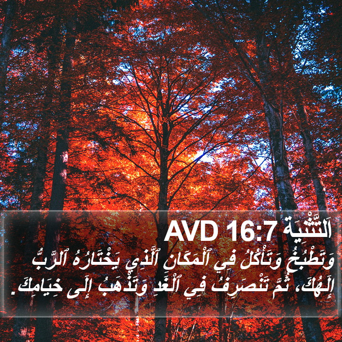 اَلتَّثْنِيَة 16:7 AVD Bible Study