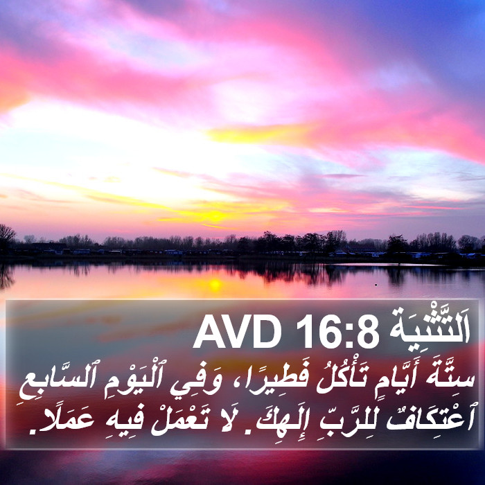 اَلتَّثْنِيَة 16:8 AVD Bible Study