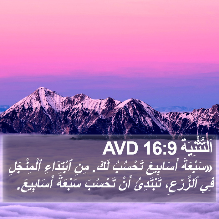 اَلتَّثْنِيَة 16:9 AVD Bible Study